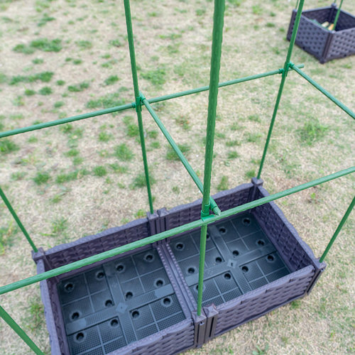 种植箱爬藤花架植物支撑杆种菜