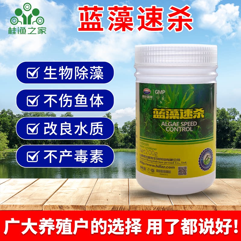 鱼塘蓝藻净分解素分解酶水产养殖抑藻除蓝藻克星速杀去绿藻除藻剂