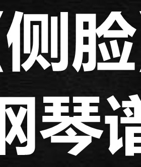 于果《侧脸》 独奏谱  钢琴谱 五线谱 简谱 扒谱 弹唱谱