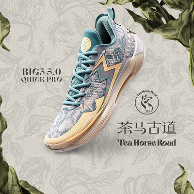 361度男鞋运动鞋篮球鞋