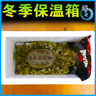 爬虫运输加热包40/72/110小时加热 蜘蛛蝎子发热包停电应急暖宝宝