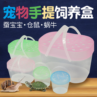 小鱼缸乌龟缸迷你宠物饲养盒儿童手提塑料幼儿园小朋友养蝌蚪小号