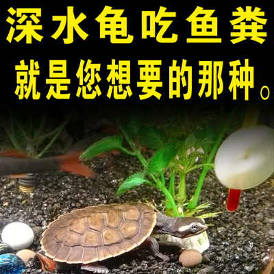 深水垃圾清洁火鱼缸头粪便乌龟