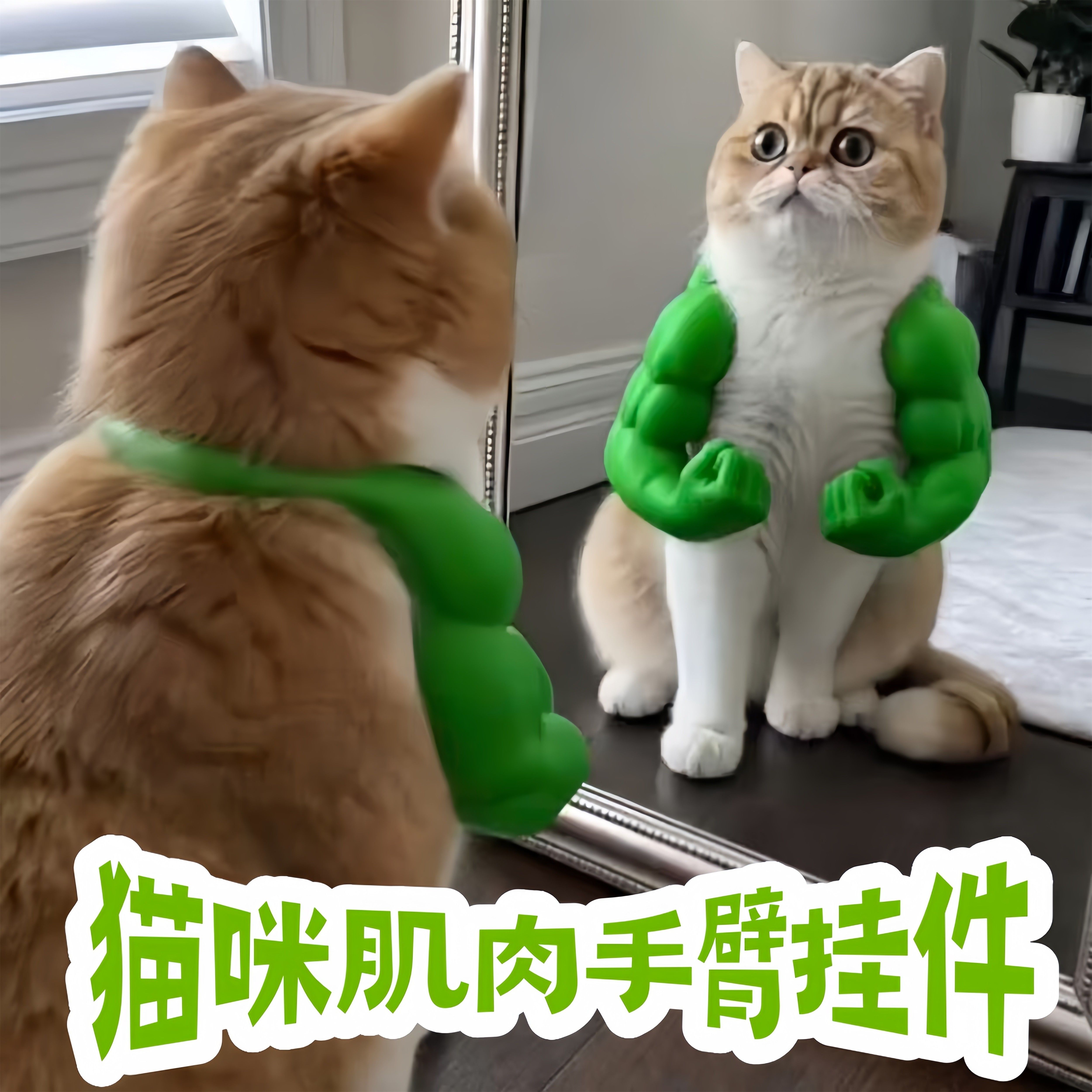 快给你家猫咪安排上这个!猫咪肌肉手臂挂件3D打印浩克拳击猫装饰