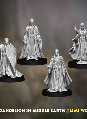 精灵领主王女银港之主第三方模型魔戒指环王桌游DND跑团树脂棋子