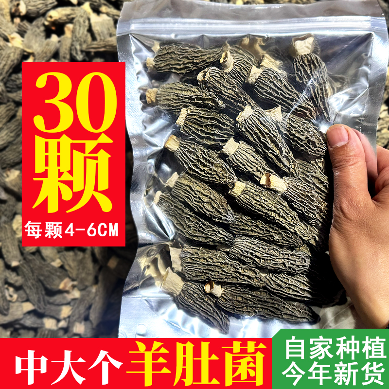 30颗装羊肚菌干货头茬精选4-6CM
