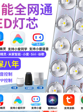 吸顶灯led灯芯涂鸦智能全网通替换灯盘小爱智能小度天猫精灵灯条