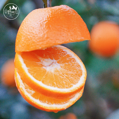 雷波脐橙新鲜水果整箱正宗大凉山