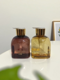 都市丽人出品都市丝语YF4105内衣专用洗衣液抑菌除螨持久留香家用