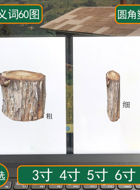 反义词卡片康复认知儿童语言训练