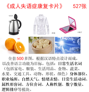 成人失语症康复训练卡教具语言障碍废用命名错误语法缺失复述困难