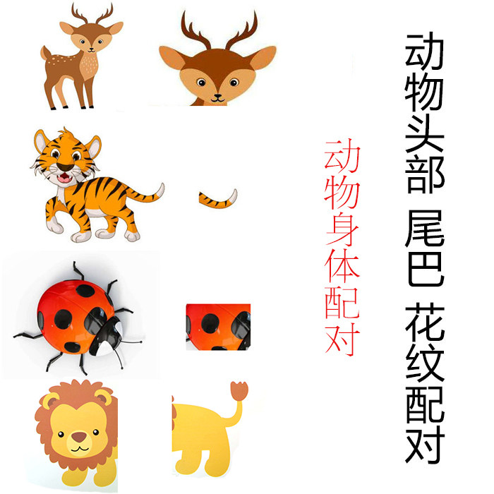 动物花纹/头部/尾巴/局部配对羽毛身体前后教学卡片自闭症儿童aba