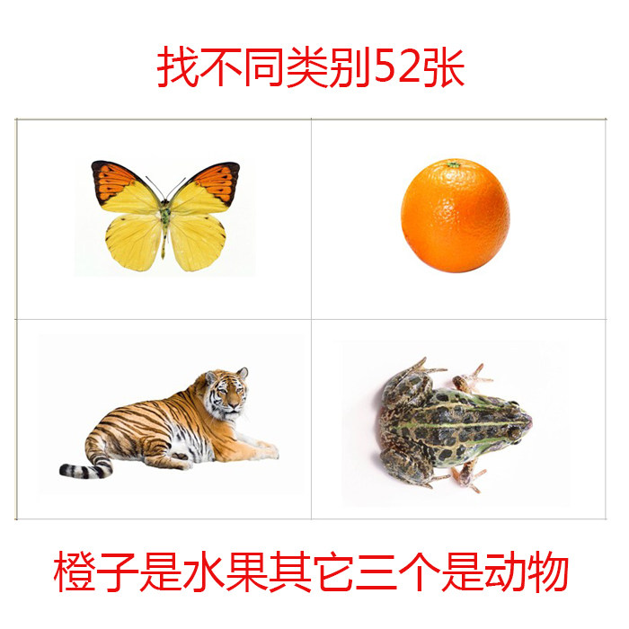 找不同类早教认知卡片自闭症康复训练卡语言发育迟缓类别教具