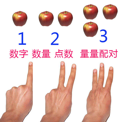 数字数量点数配对卡片儿童早教自闭症康复训练ABA教学实操教具 - 封面