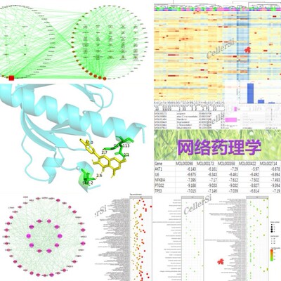 全外显子全基因组重测序数据分析ACMG SNP InDel LOH CNV生信分析