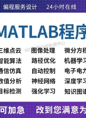 Matlab程序代编微分方程python代编算法优化控制电气仿真图像处理