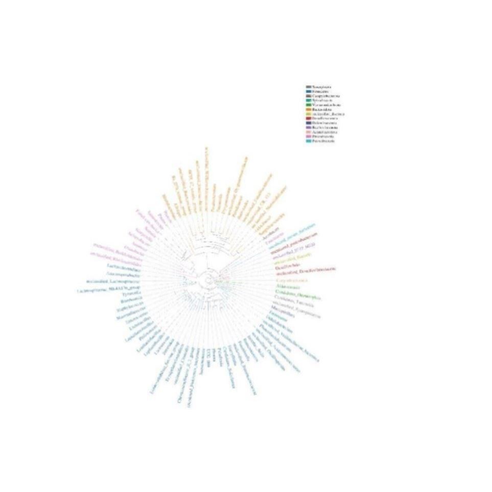 生信分析挖掘分析服务测序实验单细胞测序转录组学分析蛋白组学