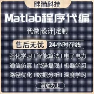 matlab代码帮做程序代编图像处理通信仿真路径规划复现算法优化