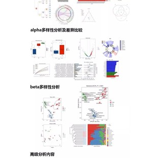 生信分析SCI服务 16s转录组基因组分析 R语言单细胞测序数据