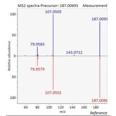 质谱数据分析 高分辨率数据分析 代谢组学 蛋白组学  LCMS GCMS