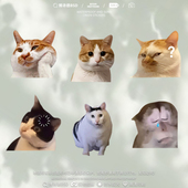 可爱搞笑迷因MEME猫猫咪惊讶表情包车贴猴子宠物电动车摩托装 饰贴