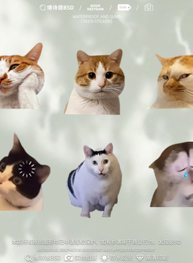 可爱搞笑迷因MEME猫猫咪惊讶表情包车贴猴子宠物电动车摩托装饰贴