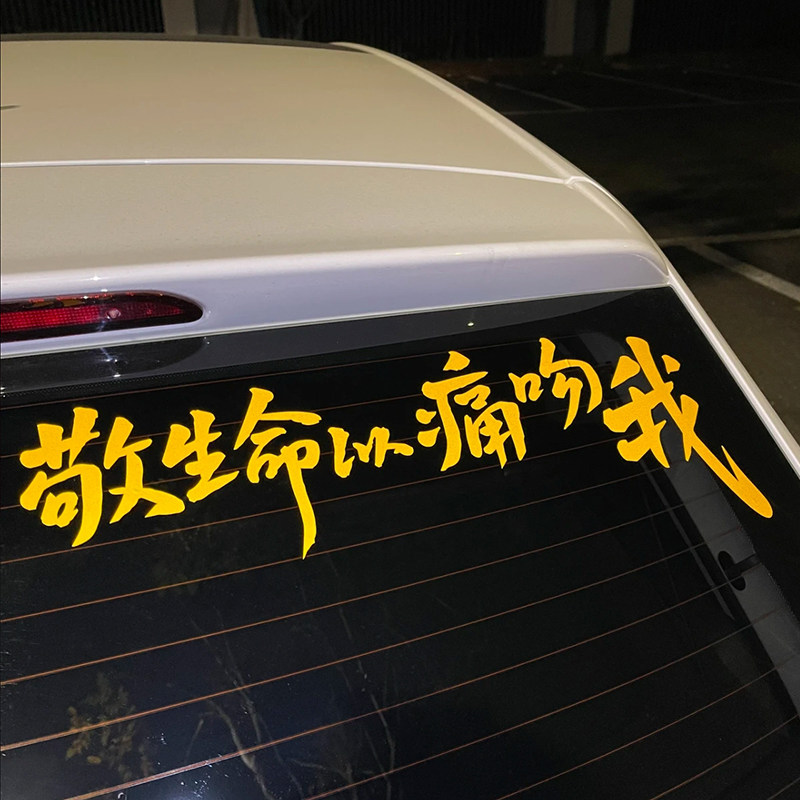 灿盛PVC任意个性汽车贴汽车贴