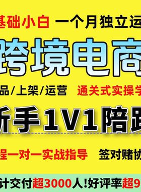一对一语音陪跑美区 欧区跨境电商跨境运营tk远程语音代运营