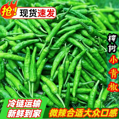 【特级】正宗樟树辣椒现摘新鲜富晒食用湖南品种薄皮嫩港青椒微辣