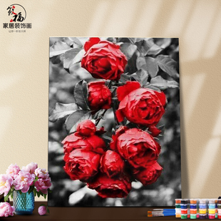 DIY数字油画自己填色盛开的红玫瑰莲荷花黑白红蔷薇家居装饰新款