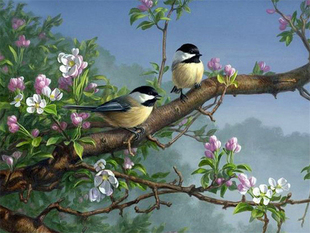 DIY数字油画自己涂填色春天 饰新款 树林和翠鸟麻喜雀黄鹂家居装
