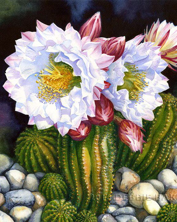 diy数字油画自己填色材料包手绘沙漠红色仙人掌花清新家居装饰画