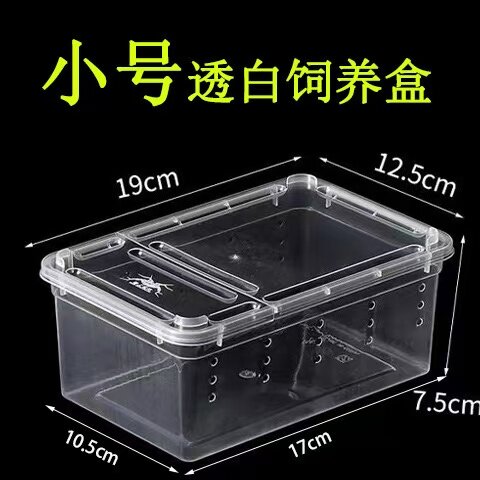 小号爬虫饲养盒蜘蛛蜥蜴蝎子乌龟运输盒打包盒角蛙爬宠饲养箱图片
