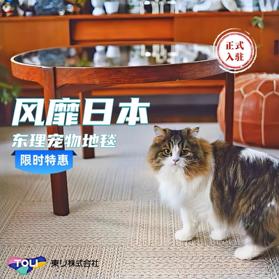 日本东理地毯客厅卧室防滑抗菌