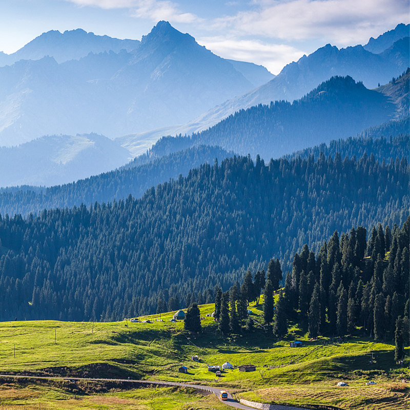 �����������ɲ�֣�����299Ԫ��/�������Ƶ��½�14��3���ɲ�ֺ���ͨ��