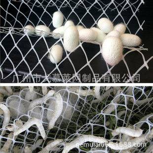 蚕结茧的架子蚕宝宝结茧网养殖专用塑料平网养蚕折弯塑料吐丝簇