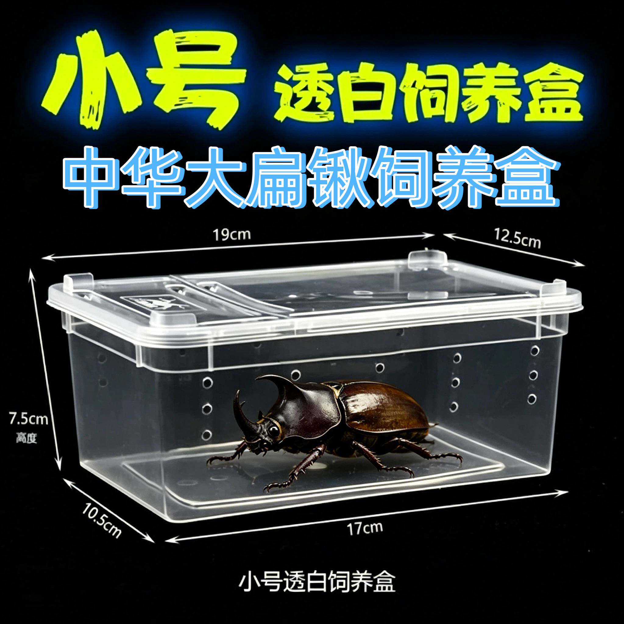 爬宠专用亚克力透明饲养箱兼容及图片