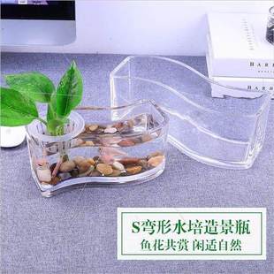 水养植物器皿长方形 绿萝水培容器 S弯形玻璃花瓶 水培鱼缸花盆