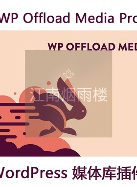 WP Offload Media Pro 媒体库插件WP网站加速官方原版WordPress