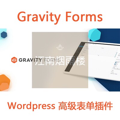 Gravity Forms 表单插件 高级表单生成插件 Wordpress 表单插件wp