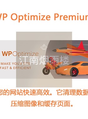 WP Optimize Premium 插件WP网站加速数据库清理插件图像页面优化