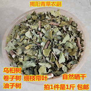 乌桕叶 粉 卷子叶油子树蜡子树叶 皮肤洗澡草药晒干500g包邮