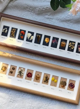 立体中空相框多宫格组合画框贝壳果实昆虫标本展示盒自装空框
