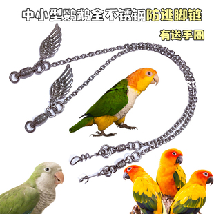 中小型鹦鹉不锈钢外出链站架链开脚环牡丹玄凤凯克鸟站架脚链