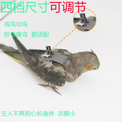 鹦鹉放飞绳虎皮牡丹玄凤鹦鹉外出牵引绳超轻飞行绳背带式不伤鸟