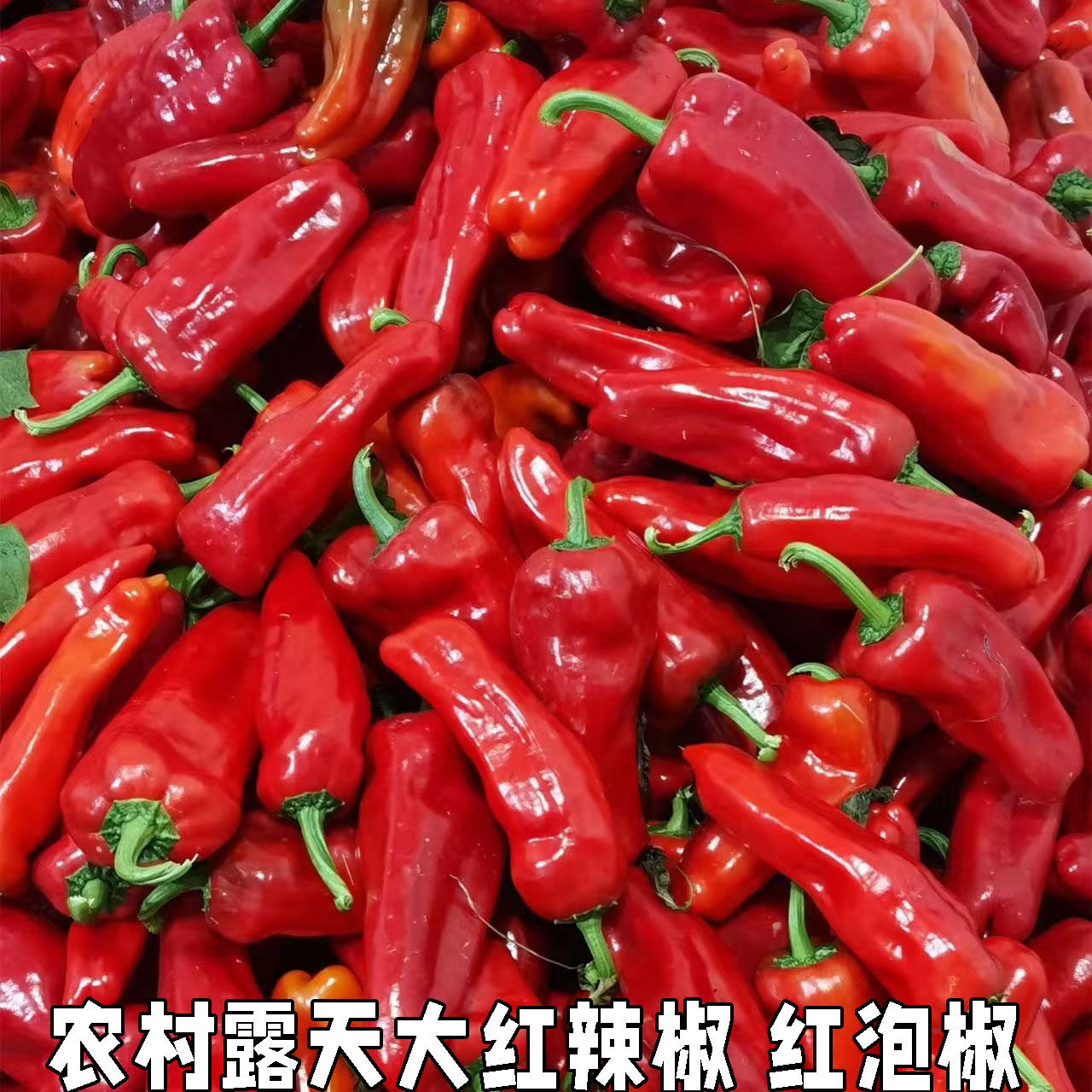 新鲜大红椒农家自种做辣椒酱剁椒肉厚红辣椒微辣现摘当季蔬菜包邮