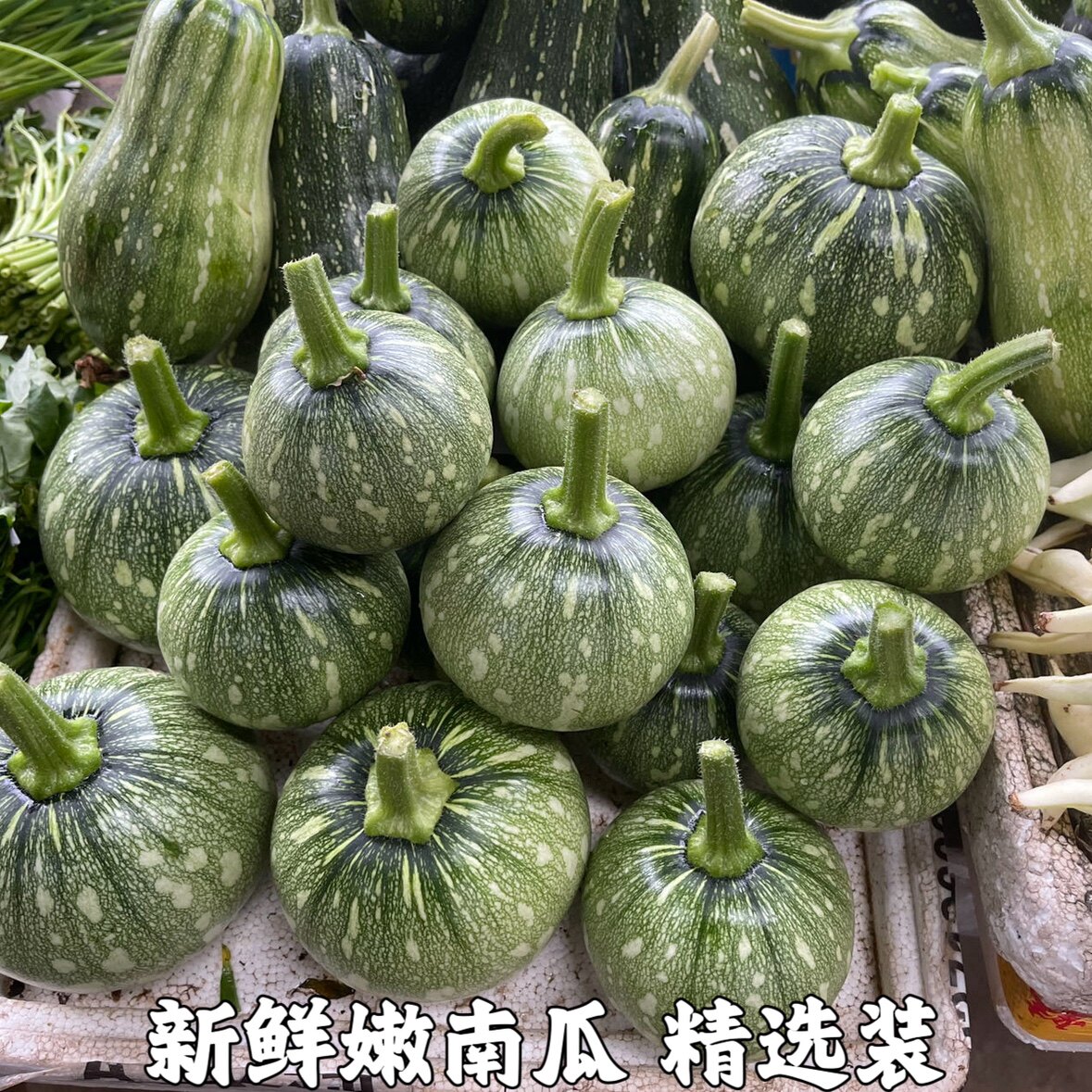 新鲜嫩南瓜长南瓜小窝瓜青南瓜迷你小南瓜长条嫩南瓜农家自种包邮