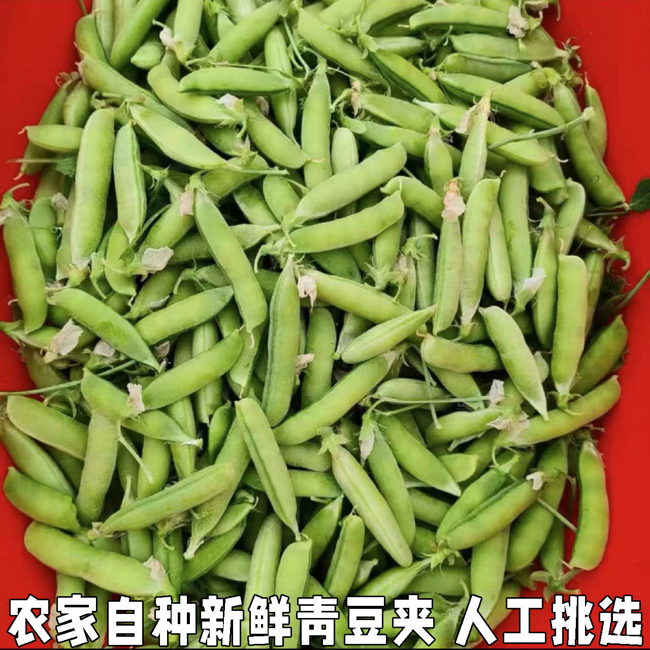 豌豆新鲜带壳青豆角粒农家蔬菜水果甜豆荚嫩青豆米当季整箱包邮
