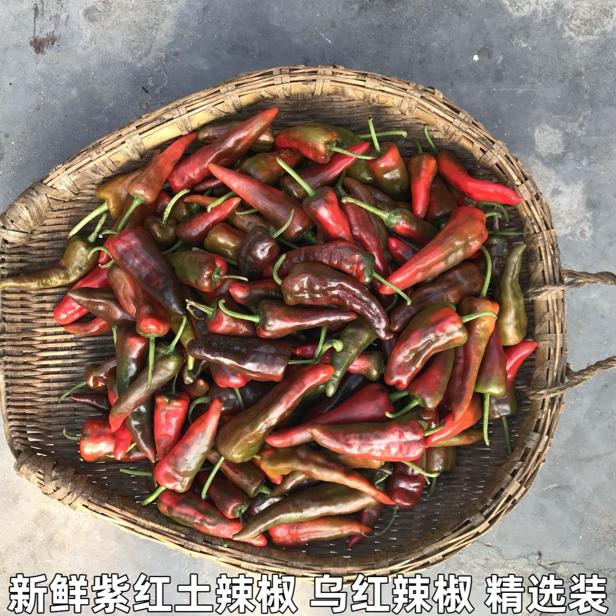 湖北农家自种露天土辣椒紫红辣椒鲜红辣椒乌红土辣椒做酱剁椒包邮