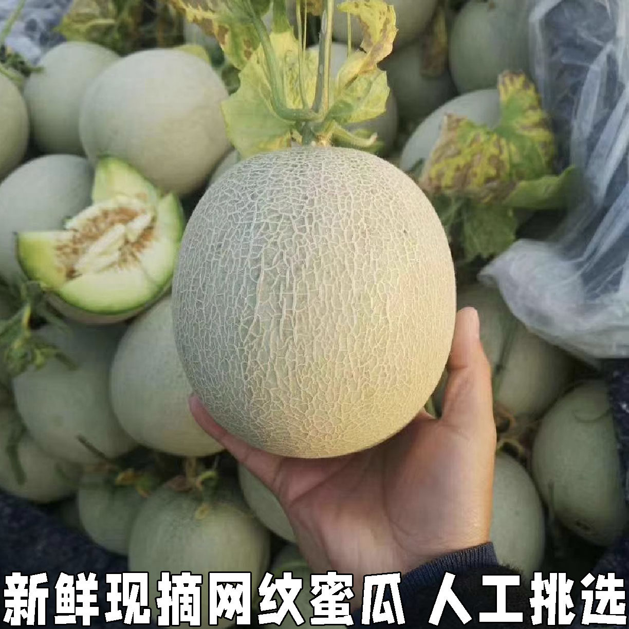 网纹瓜网纹蜜瓜新鲜水果当季现摘现发玫珑蜜瓜哈密瓜甜瓜精选